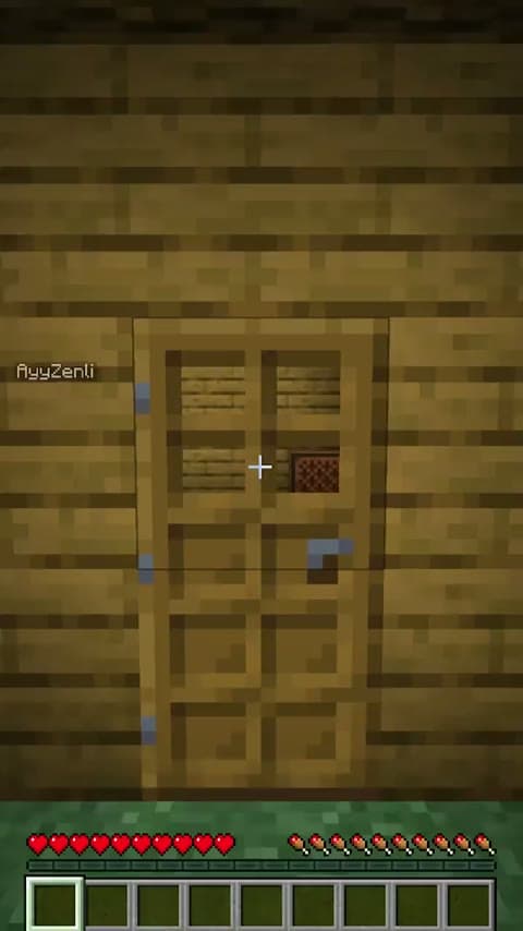 Room For Two in Minecraft