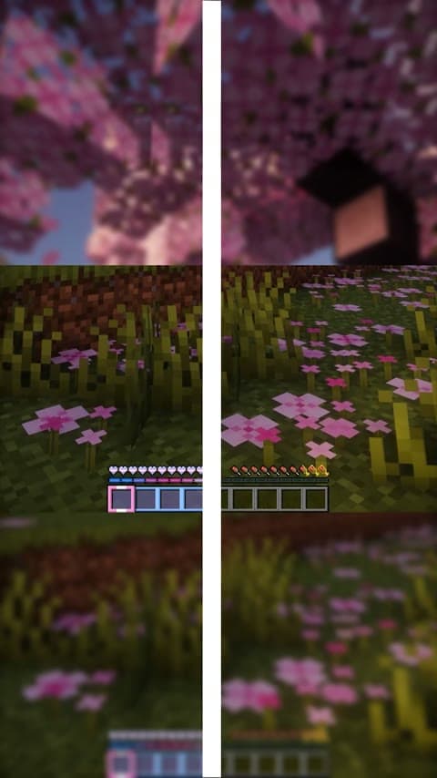 Transcendence in Minecraft