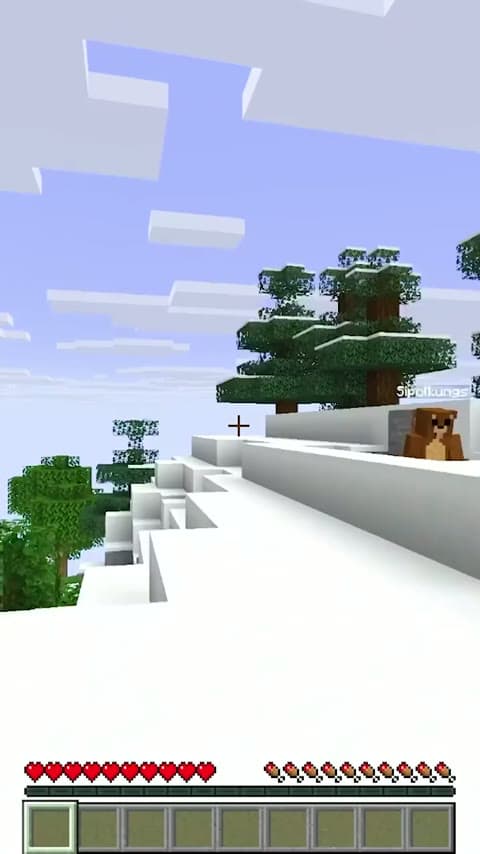 Headpat A Friend in Minecraft