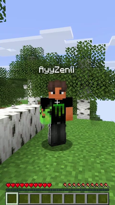 Kiss a Friend in Minecraft