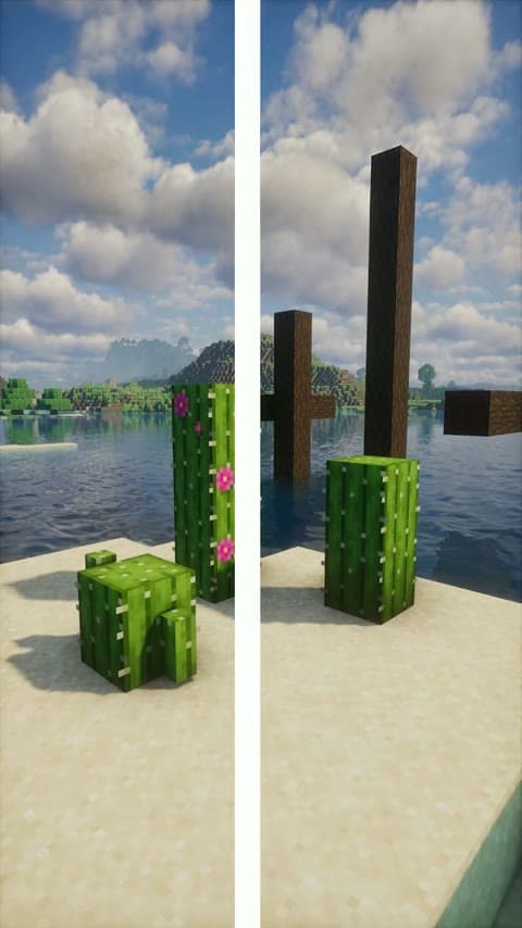 Remodeled Cactus in Minecraft