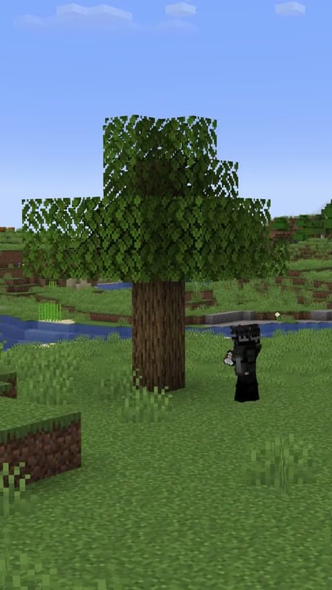 HT's TreeChop in Minecraft