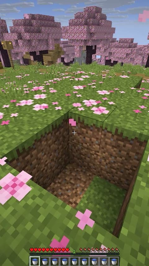 Flowing Fluids in Minecraft