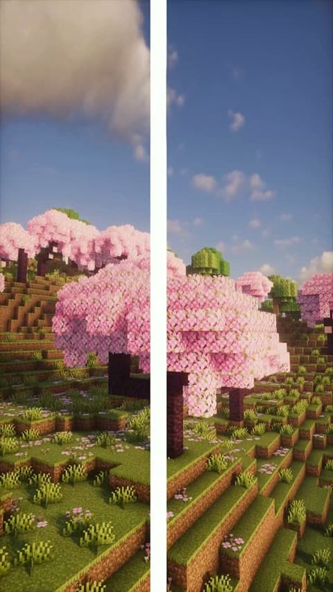 Better Leaves in Minecraft