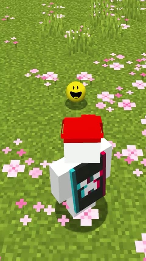 Verity JE in Minecraft