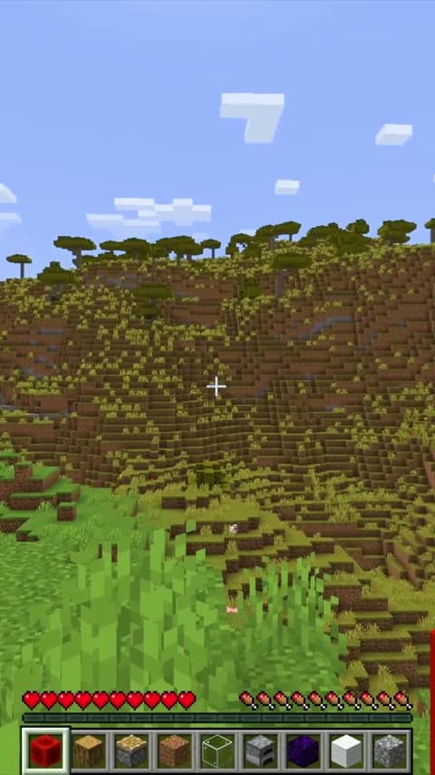 DonutAuctions in Minecraft